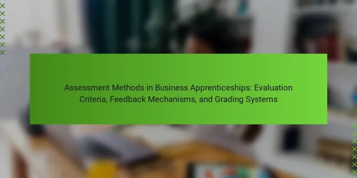 Assessment Methods in Business Apprenticeships: Evaluation Criteria, Feedback Mechanisms, and Grading Systems