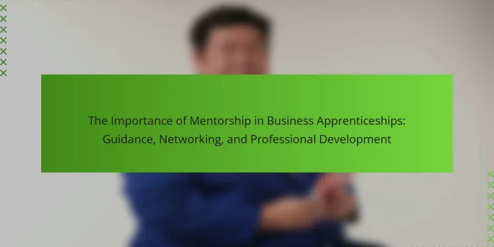 The Importance of Mentorship in Business Apprenticeships: Guidance, Networking, and Professional Development