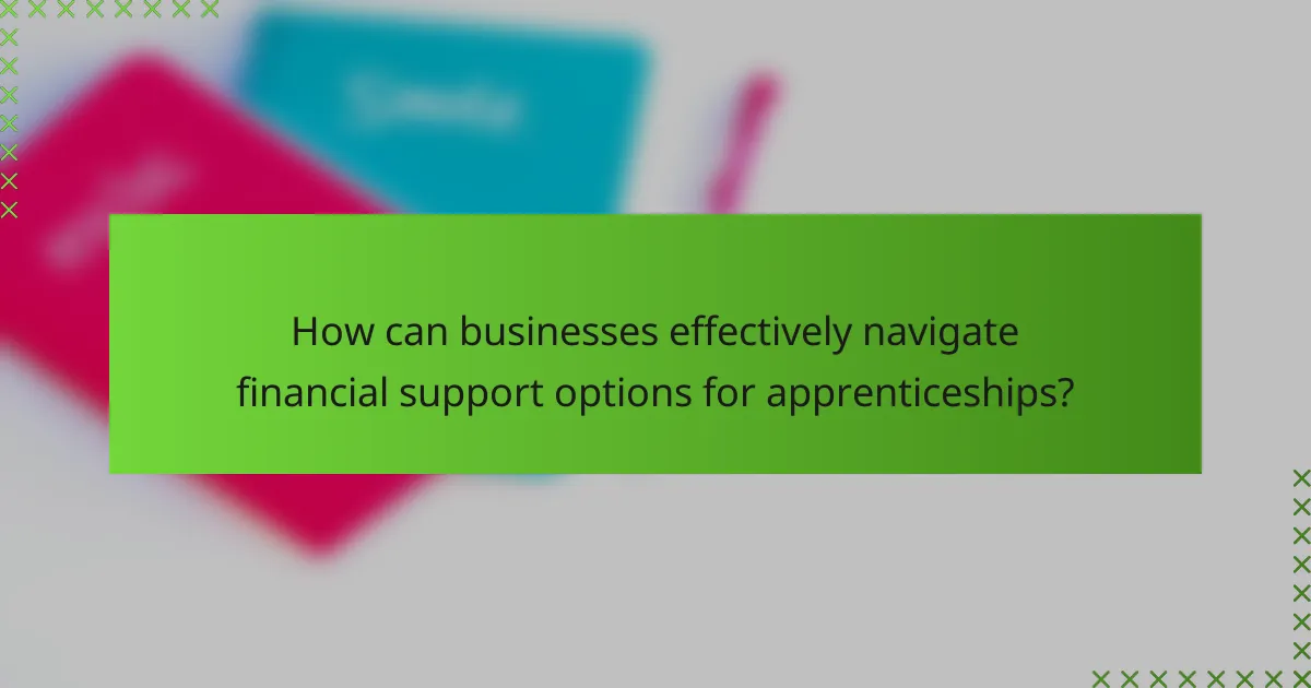 How can businesses effectively navigate financial support options for apprenticeships?