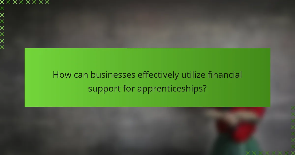 How can businesses effectively utilize financial support for apprenticeships?