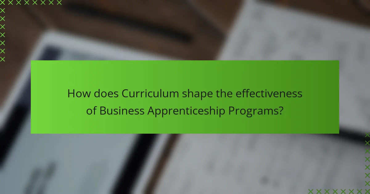 How does Curriculum shape the effectiveness of Business Apprenticeship Programs?