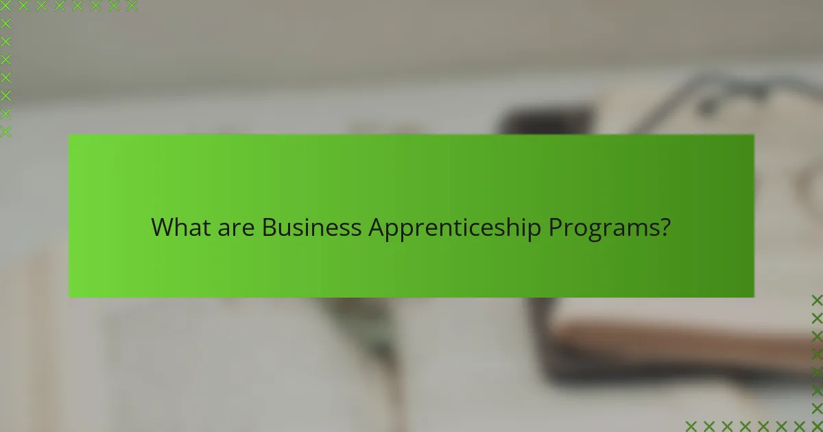 What are Business Apprenticeship Programs?