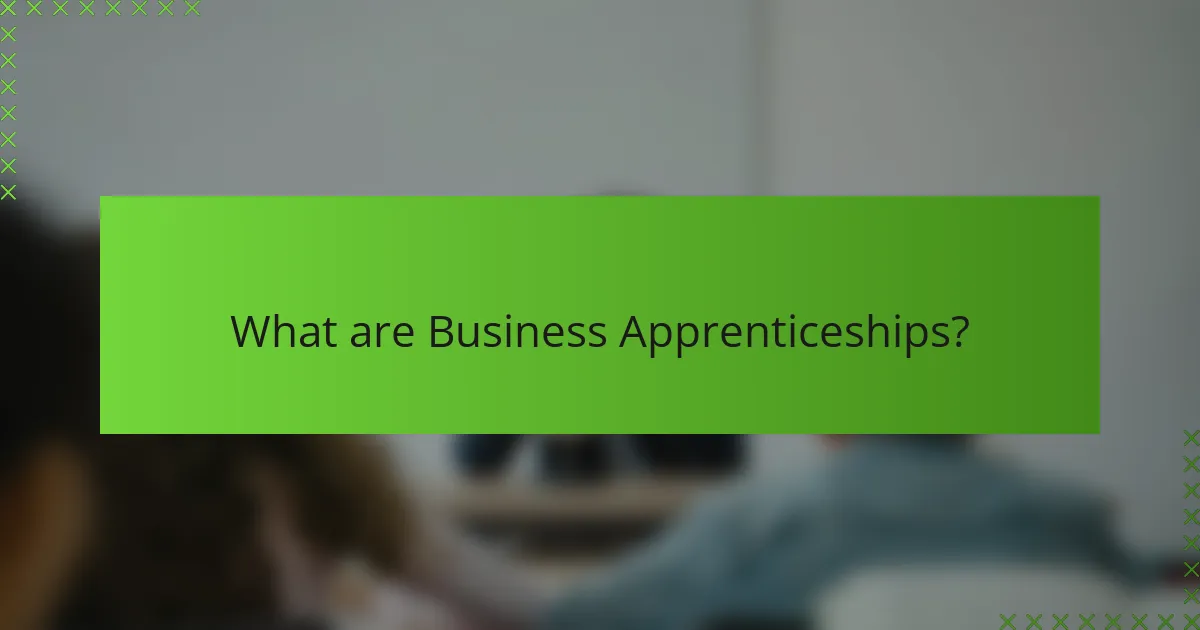 What are Business Apprenticeships?