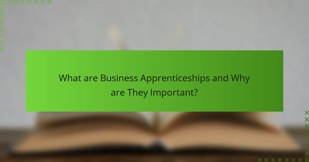 What are Business Apprenticeships and Why are They Important?