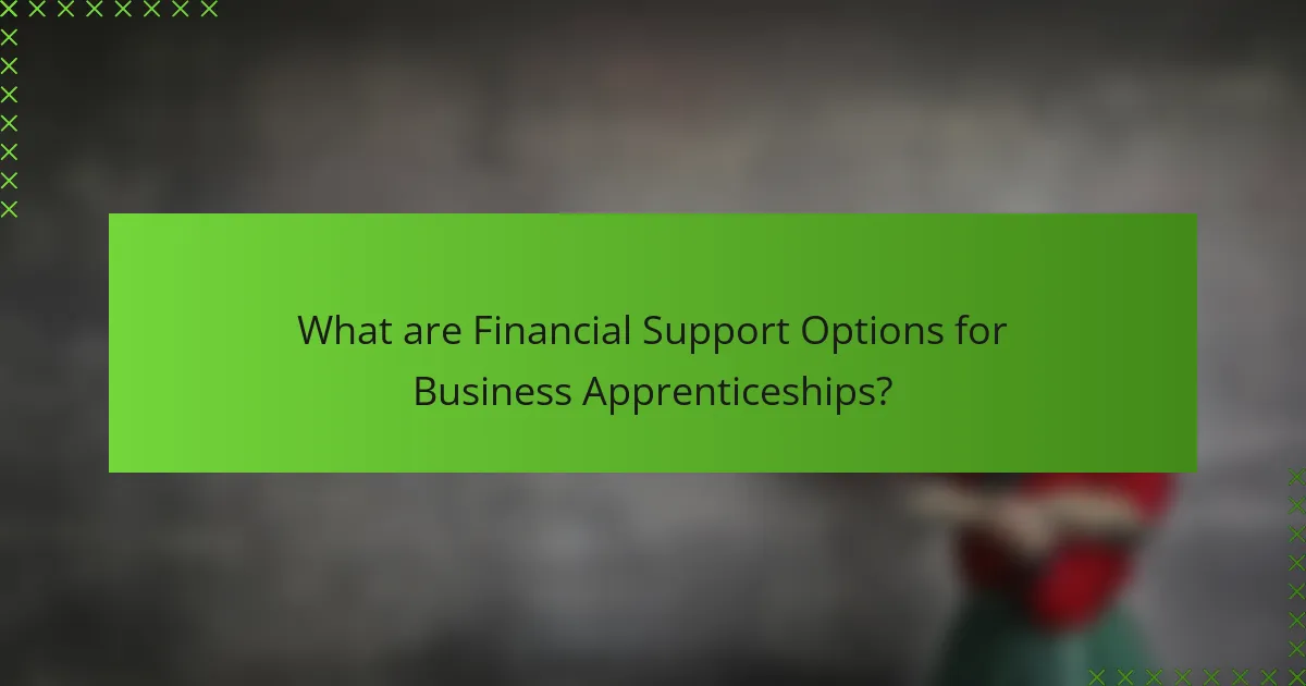 What are Financial Support Options for Business Apprenticeships?