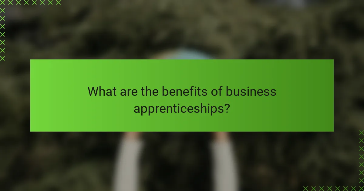 What are the benefits of business apprenticeships?
