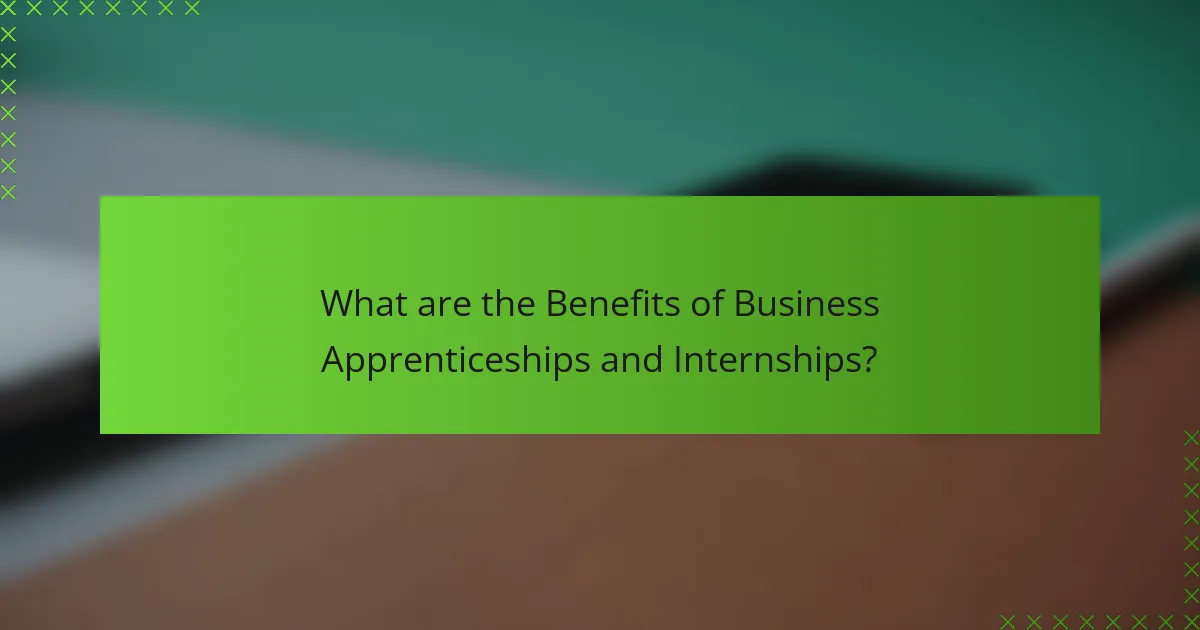 What are the Benefits of Business Apprenticeships and Internships?