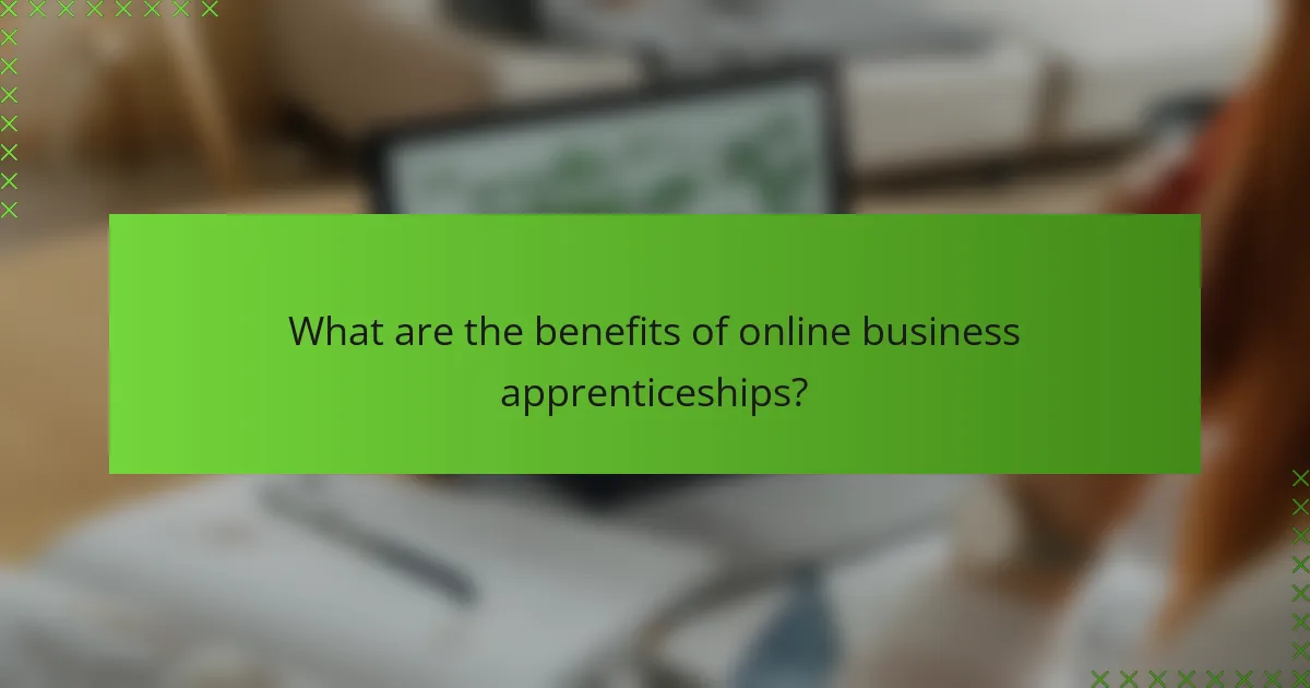What are the benefits of online business apprenticeships?