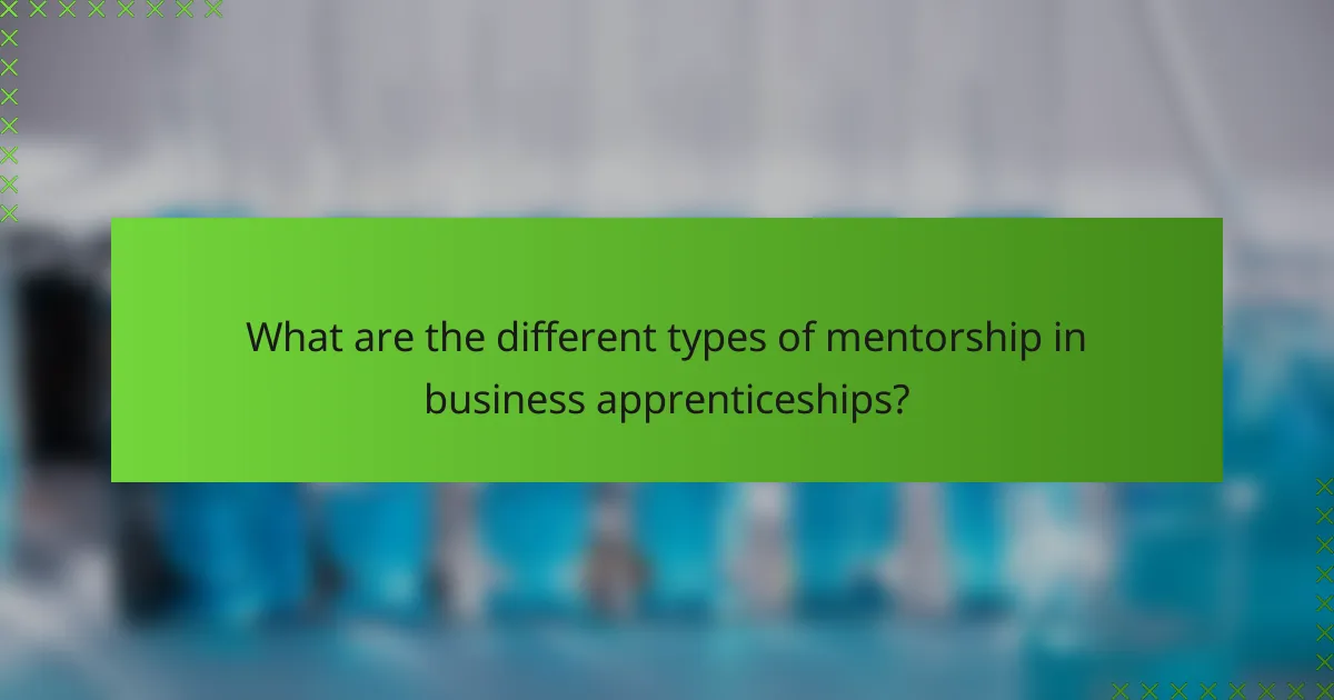 What are the different types of mentorship in business apprenticeships?