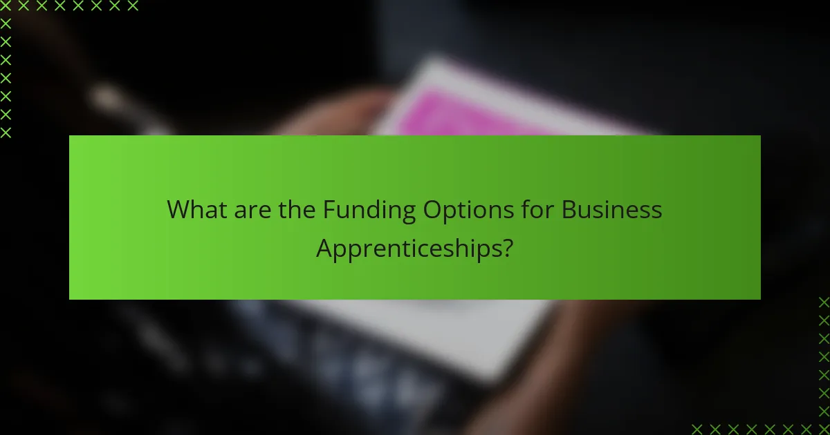 What are the Funding Options for Business Apprenticeships?