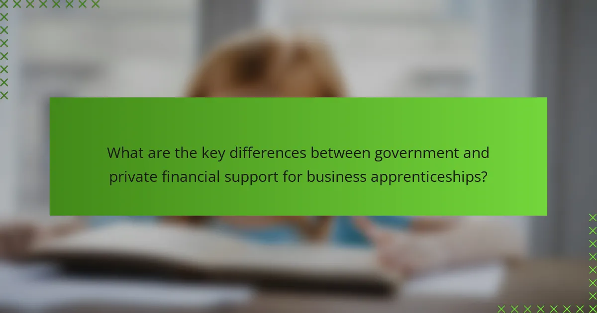 What are the key differences between government and private financial support for business apprenticeships?
