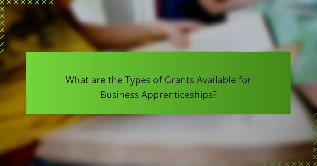 What are the Types of Grants Available for Business Apprenticeships?