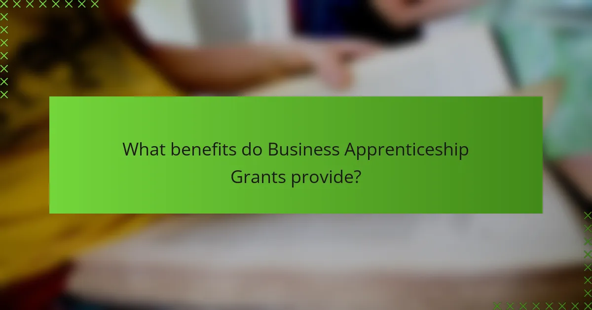 What benefits do Business Apprenticeship Grants provide?