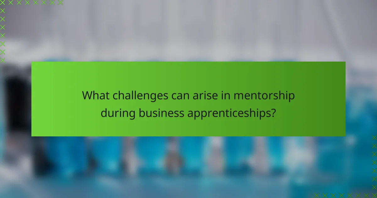 What challenges can arise in mentorship during business apprenticeships?