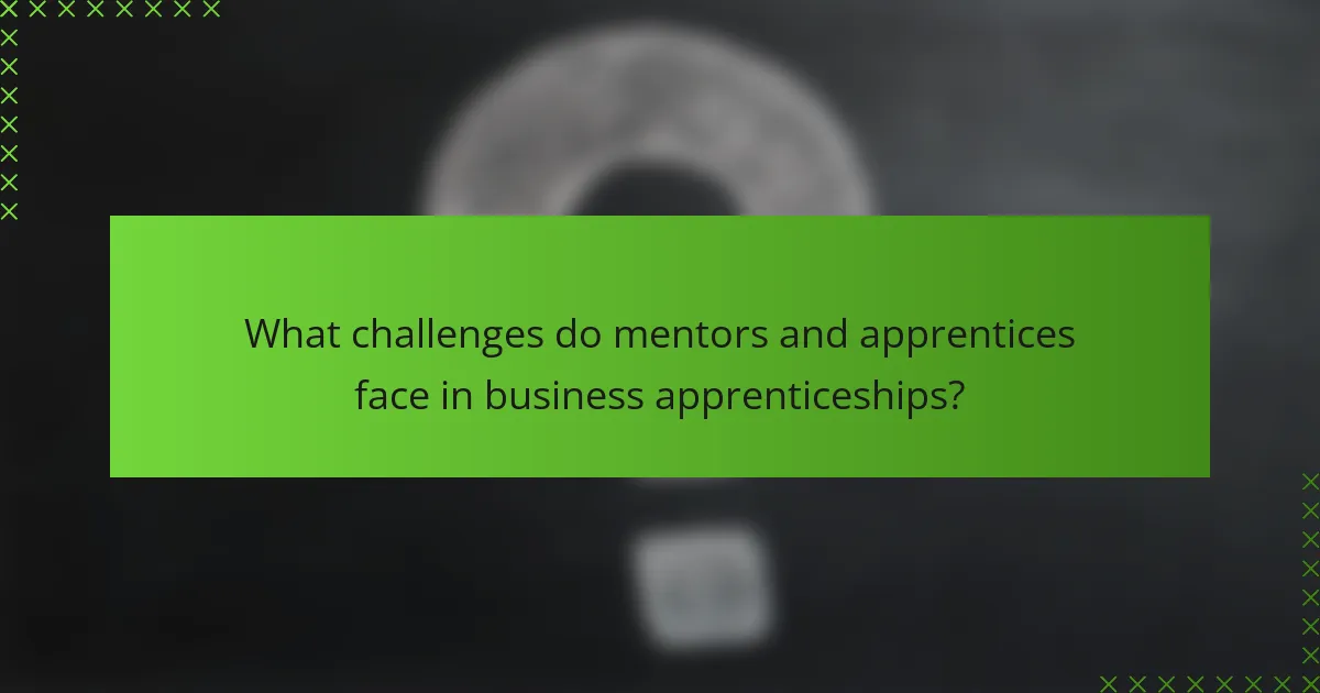 What challenges do mentors and apprentices face in business apprenticeships?
