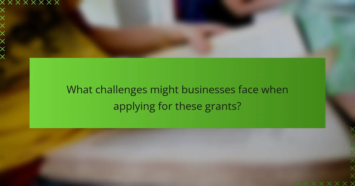 What challenges might businesses face when applying for these grants?