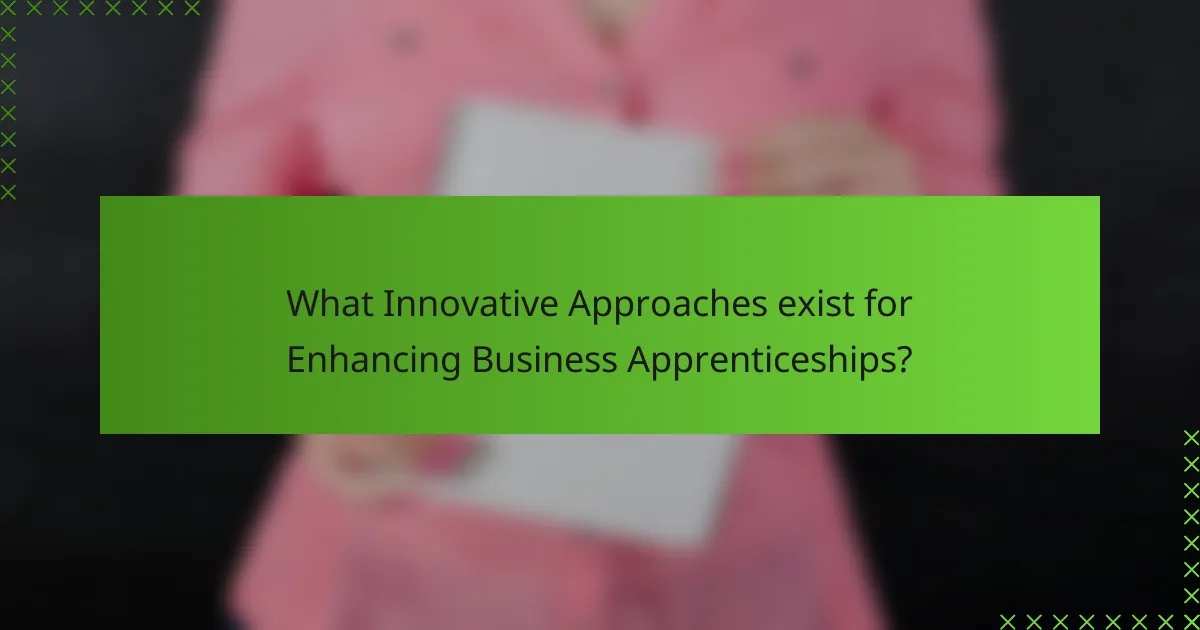 What Innovative Approaches exist for Enhancing Business Apprenticeships?