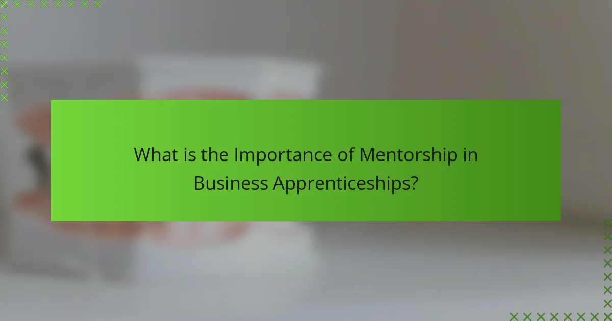 What is the Importance of Mentorship in Business Apprenticeships?