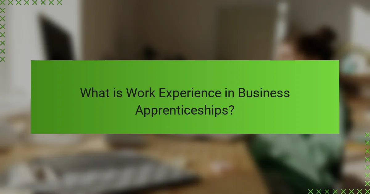 What is Work Experience in Business Apprenticeships?