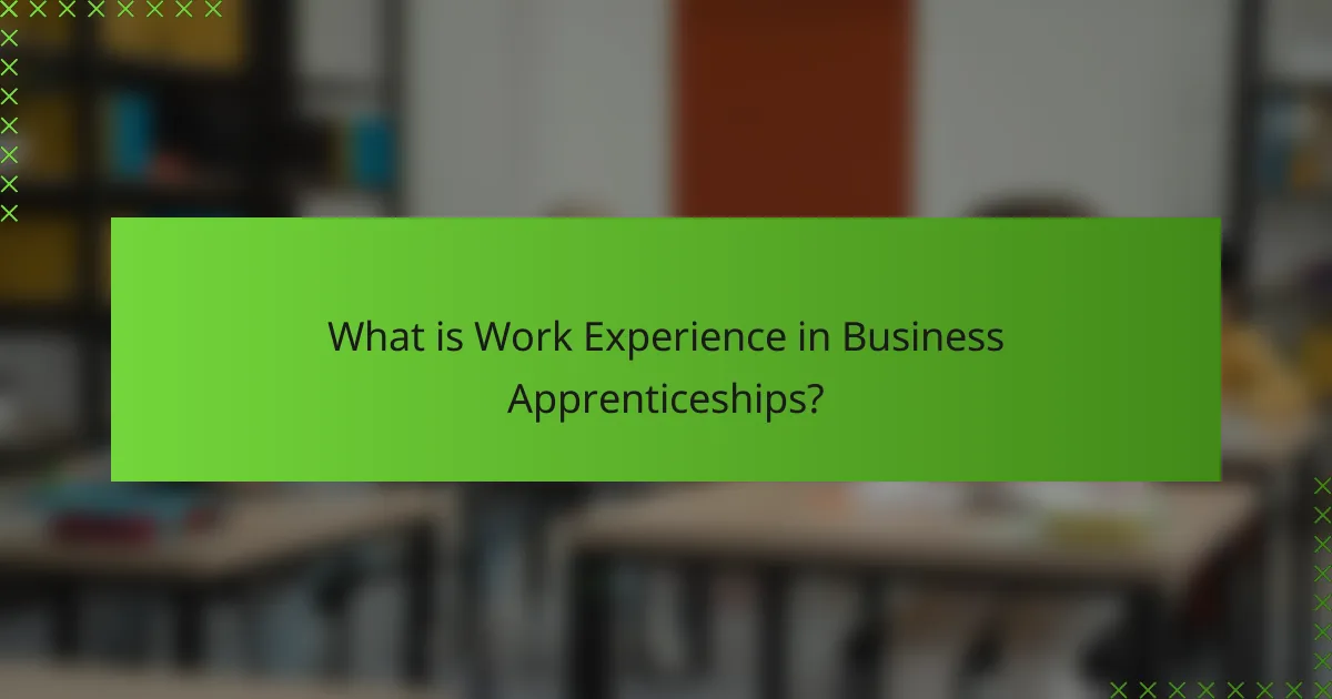 What is Work Experience in Business Apprenticeships?