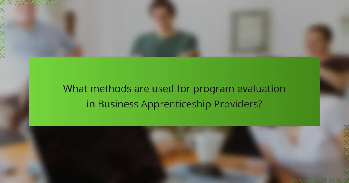 What methods are used for program evaluation in Business Apprenticeship Providers?