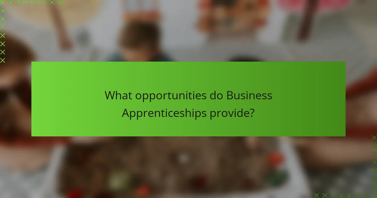 What opportunities do Business Apprenticeships provide?