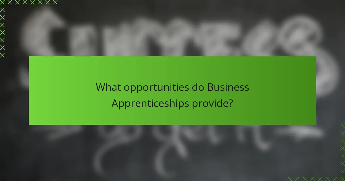 What opportunities do Business Apprenticeships provide?