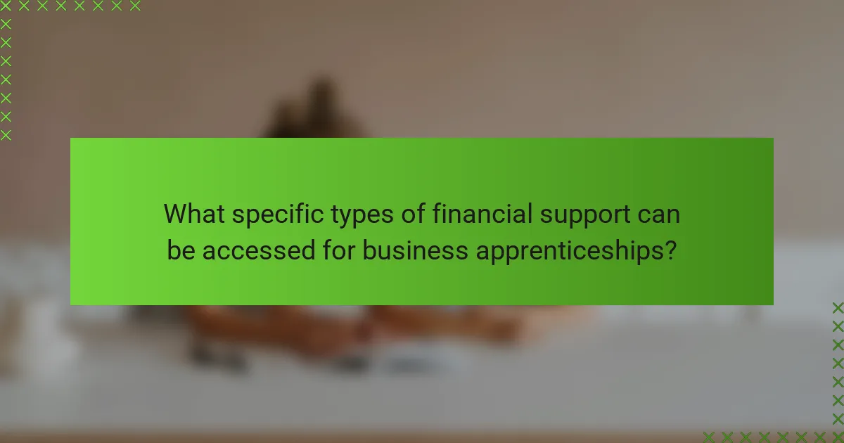 What specific types of financial support can be accessed for business apprenticeships?