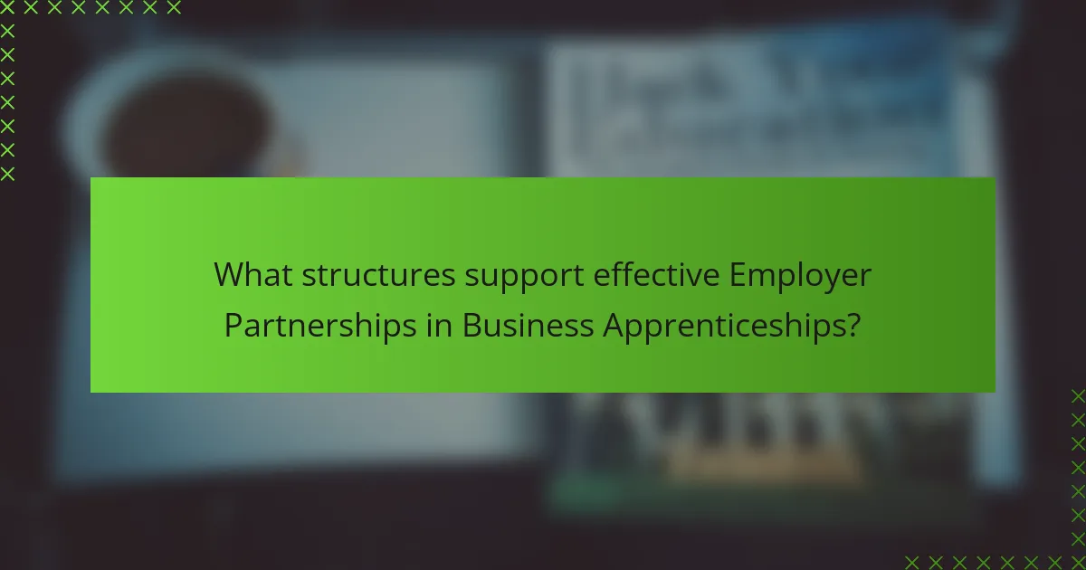 What structures support effective Employer Partnerships in Business Apprenticeships?