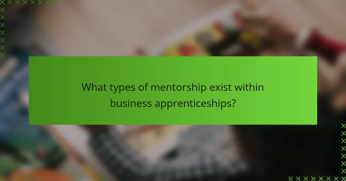 What types of mentorship exist within business apprenticeships?