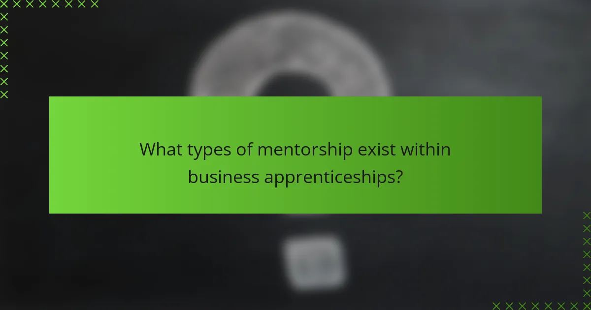 What types of mentorship exist within business apprenticeships?